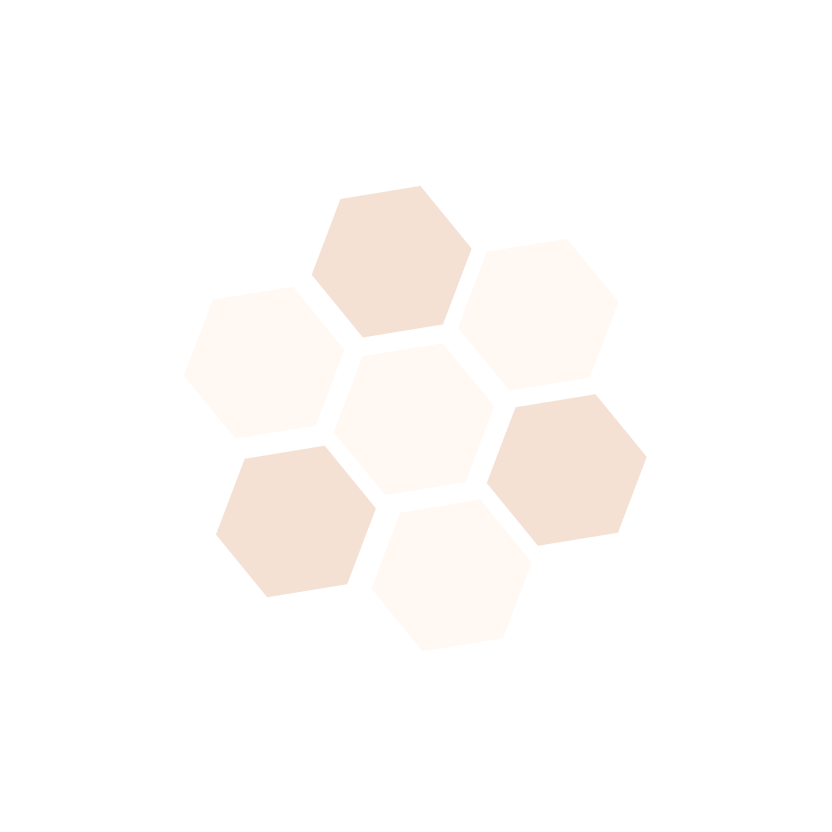 Tecoptima home page model